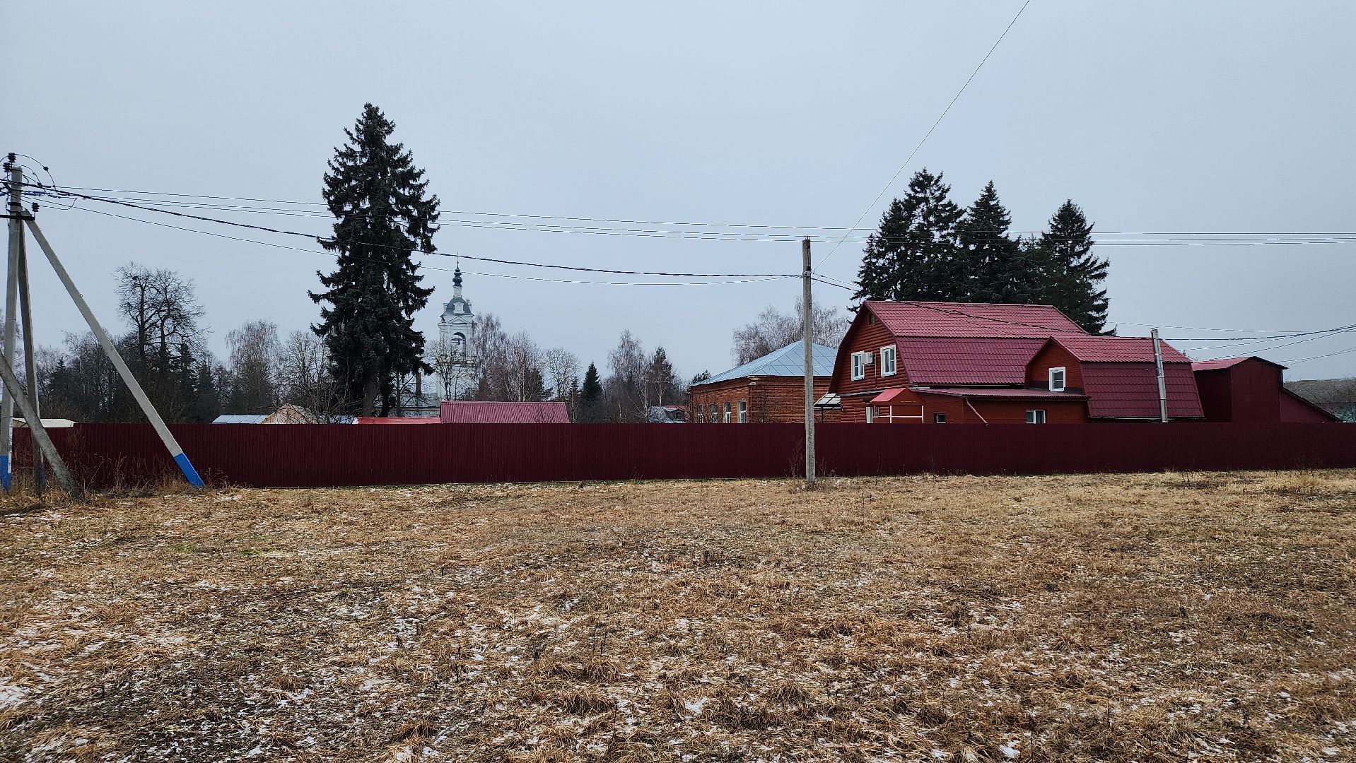 ступино, выездная администрация, бродячие собаки,