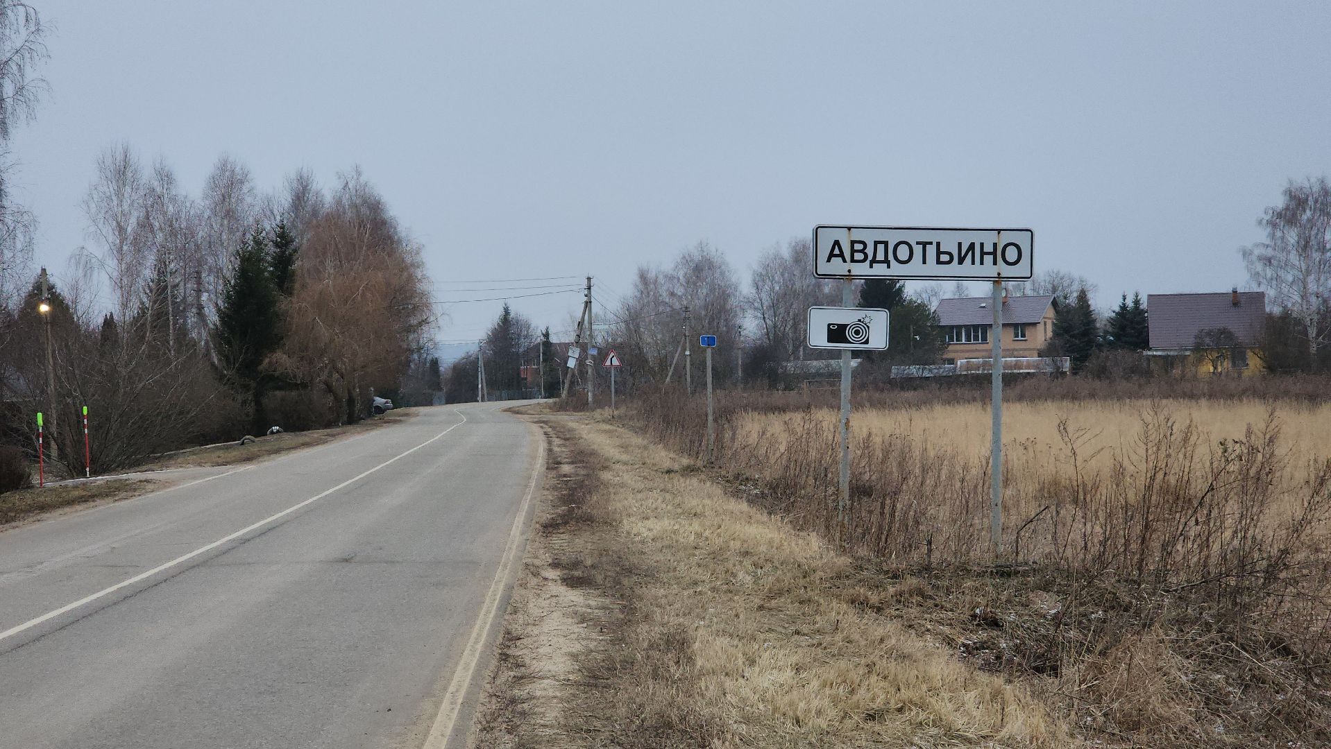 ступино, выездная администрация, бродячие собаки,