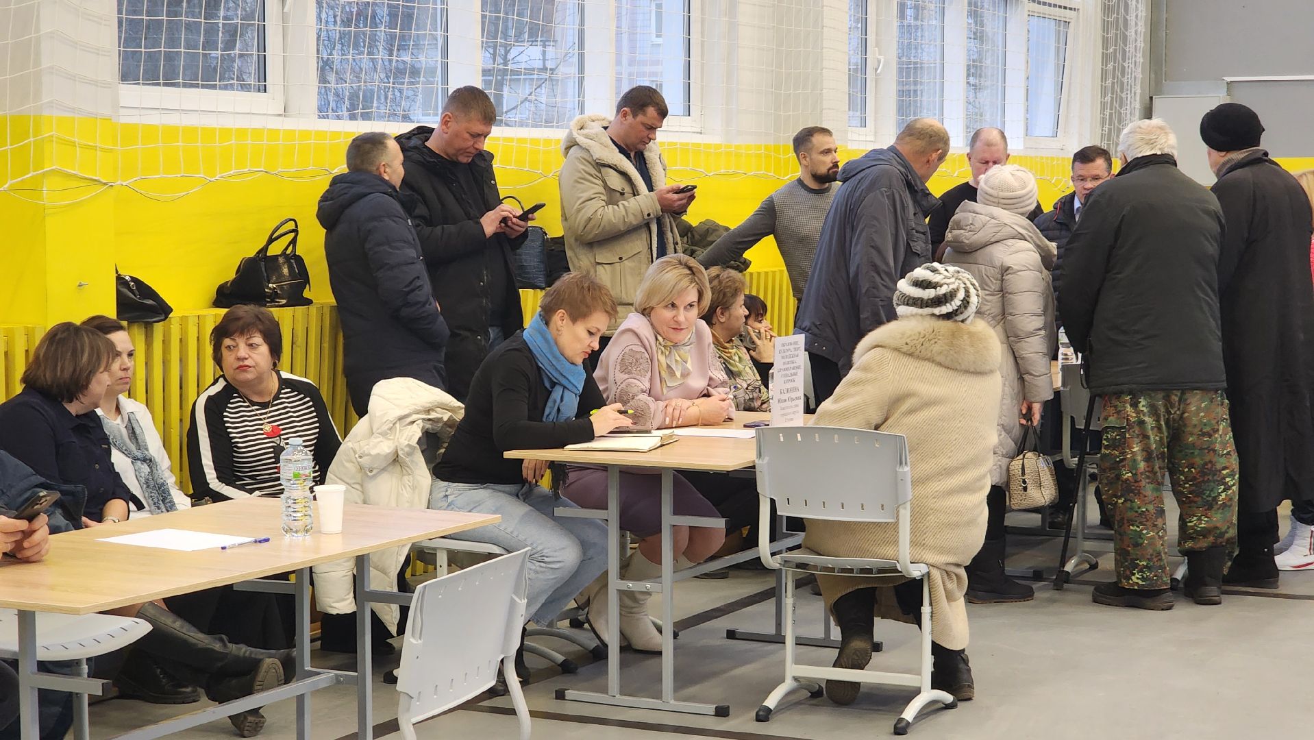 ступино, выездная администрация, бродячие собаки,