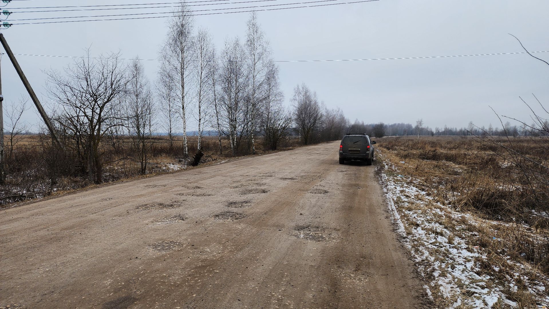 ступино, выездная администрация, бродячие собаки,
