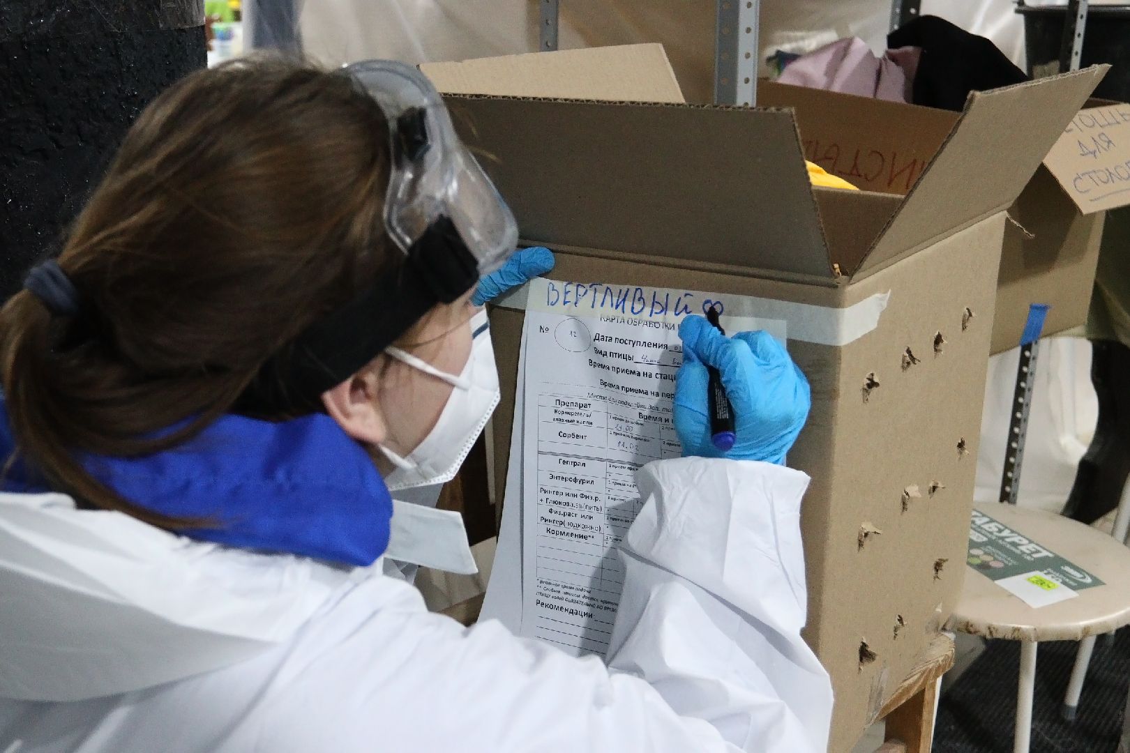 Коломна, молодая гвардия подмосковья, черное море,