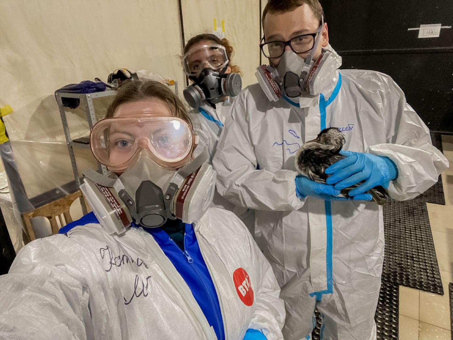 Коломна, молодая гвардия подмосковья, черное море,