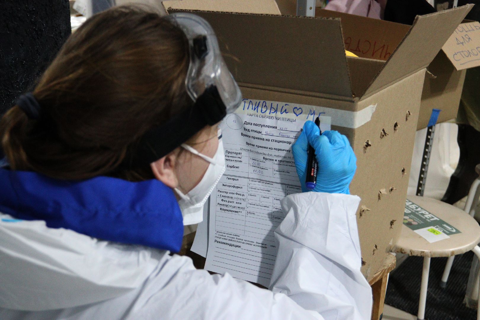 Коломна, молодая гвардия подмосковья, черное море,