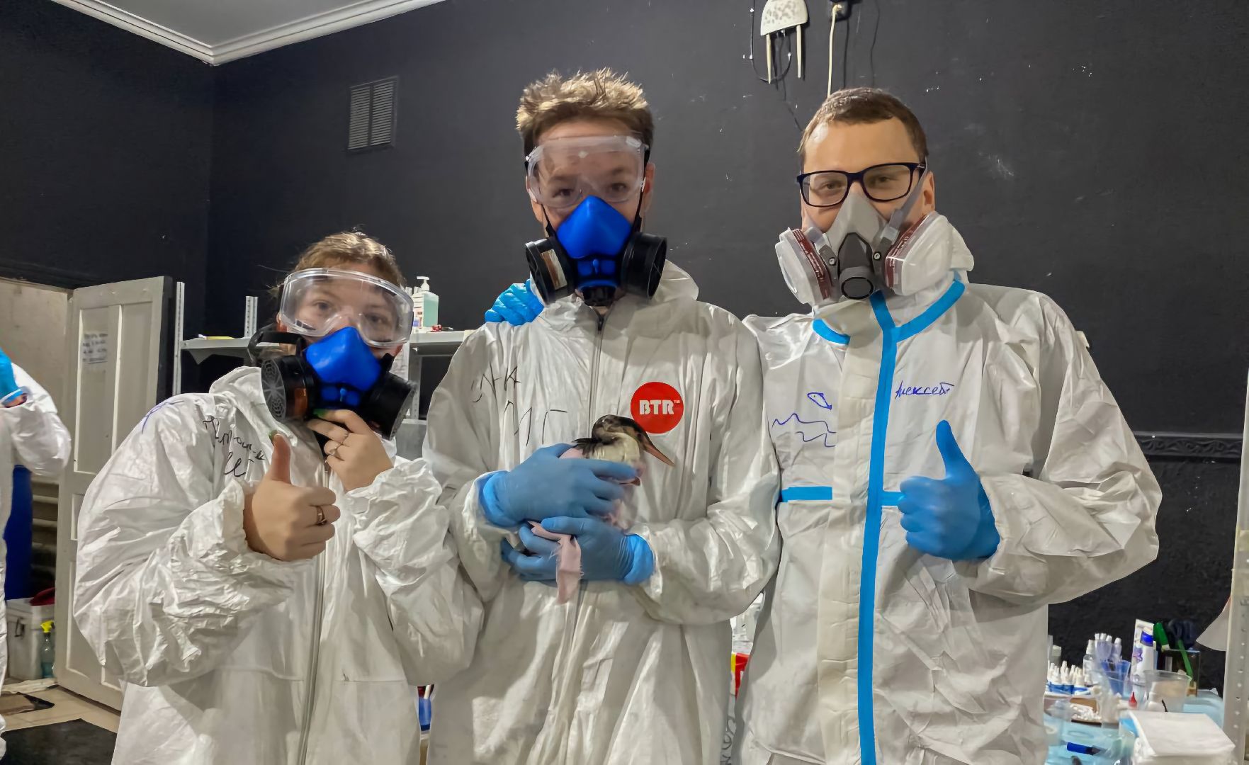 Бронницы, Помощь птицам в Анапе, Волонтеры Бронниц,