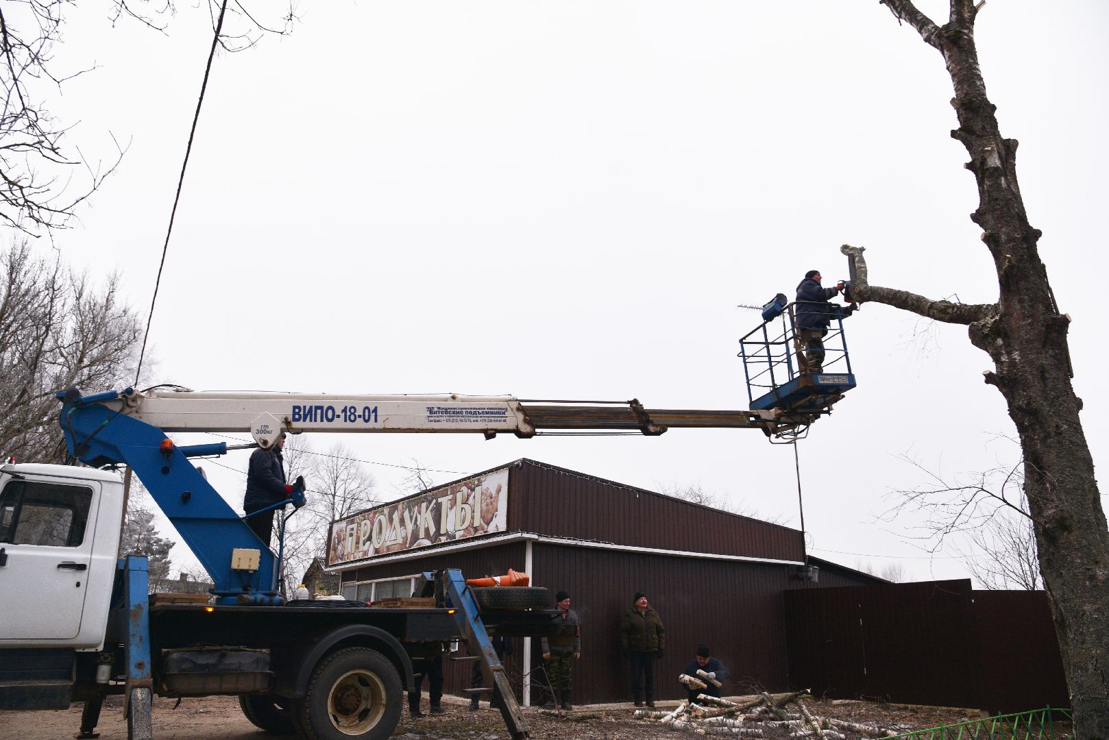 лотошино, добродел, обращение жителей, благоустройство, спил деревьев,