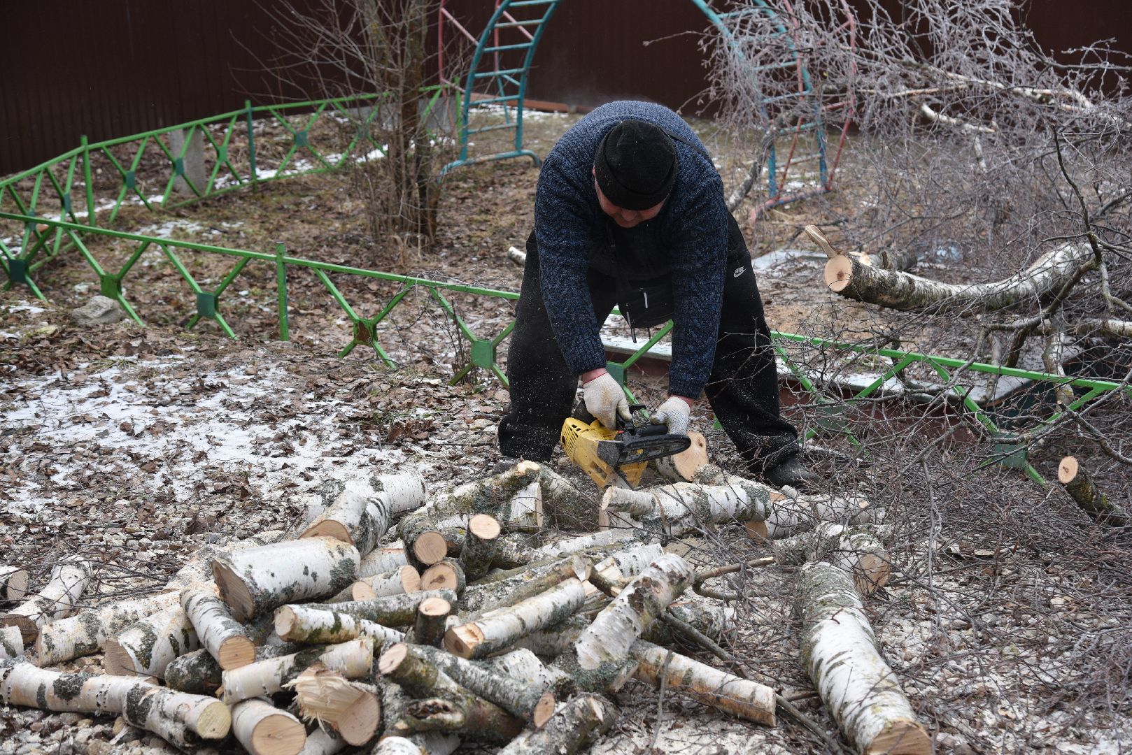 лотошино, добродел, обращение жителей, благоустройство, спил деревьев,
