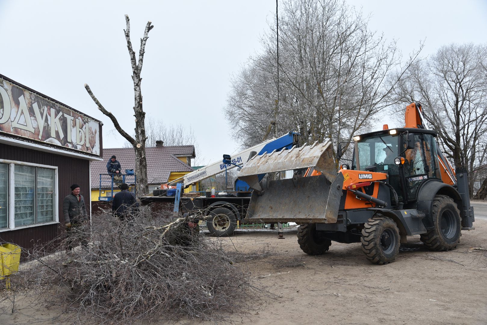 лотошино, добродел, обращение жителей, благоустройство, спил деревьев,