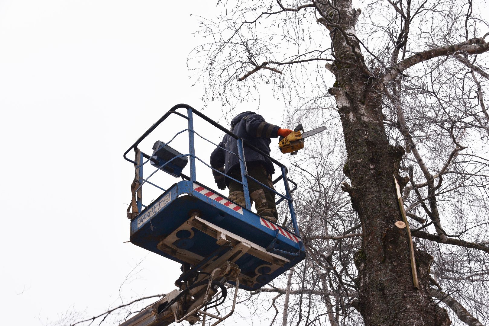 лотошино, добродел, обращение жителей, благоустройство, спил деревьев,