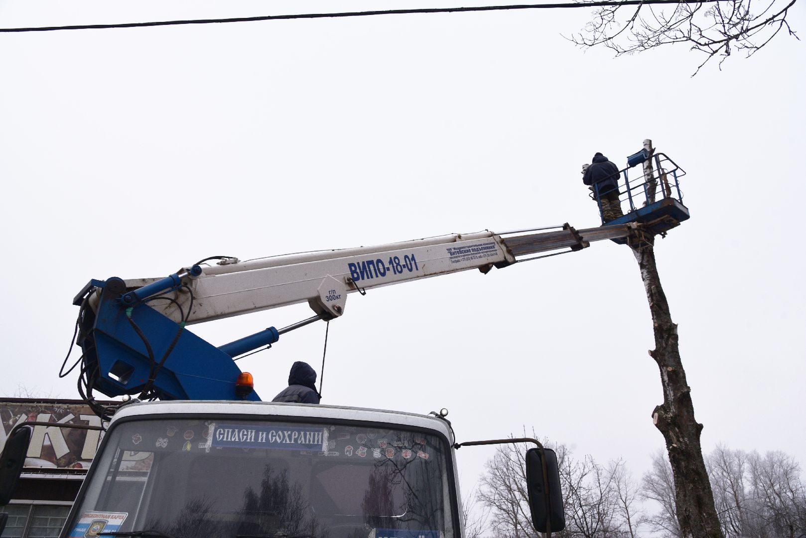 лотошино, добродел, обращение жителей, благоустройство, спил деревьев,