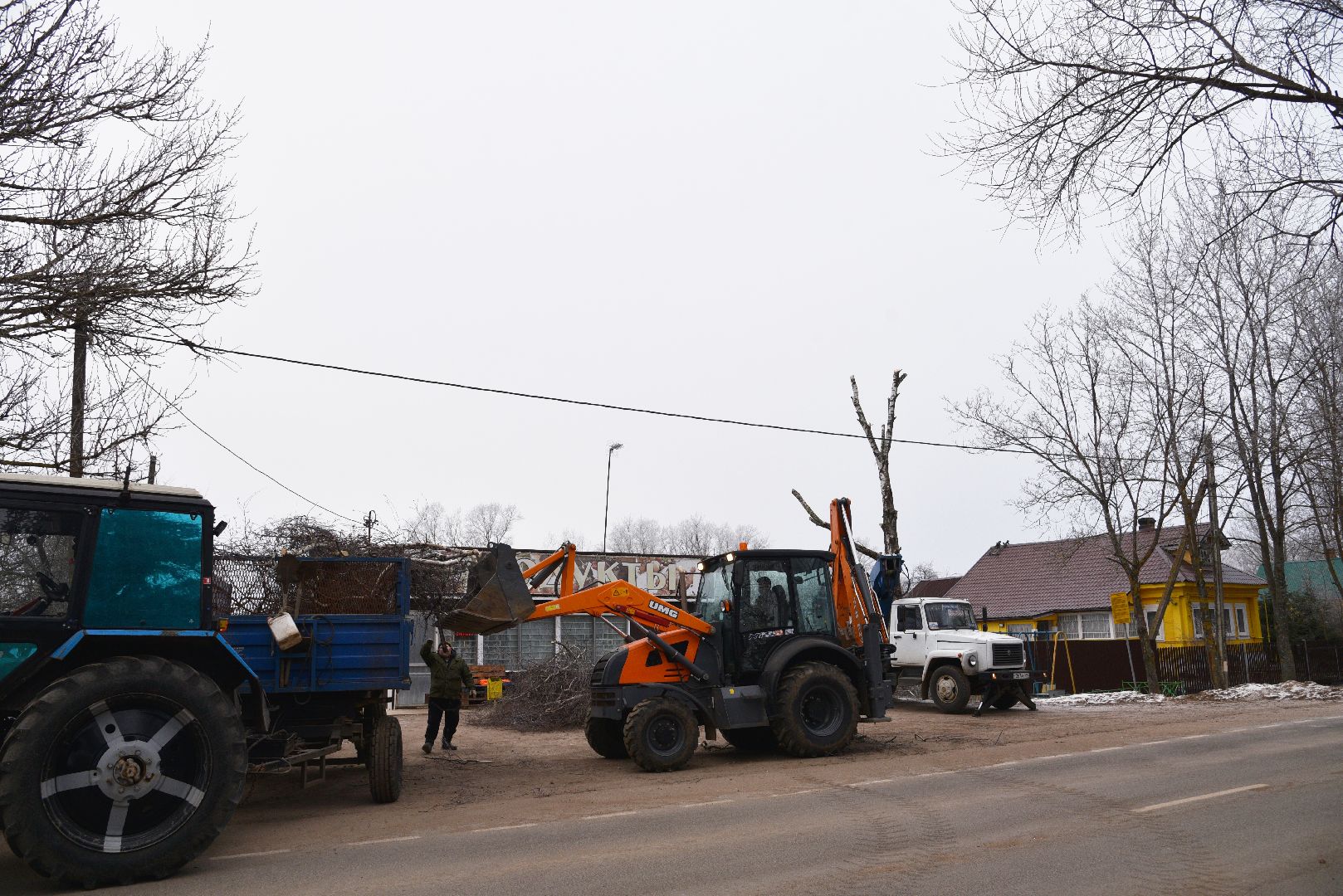 лотошино, добродел, обращение жителей, благоустройство, спил деревьев,