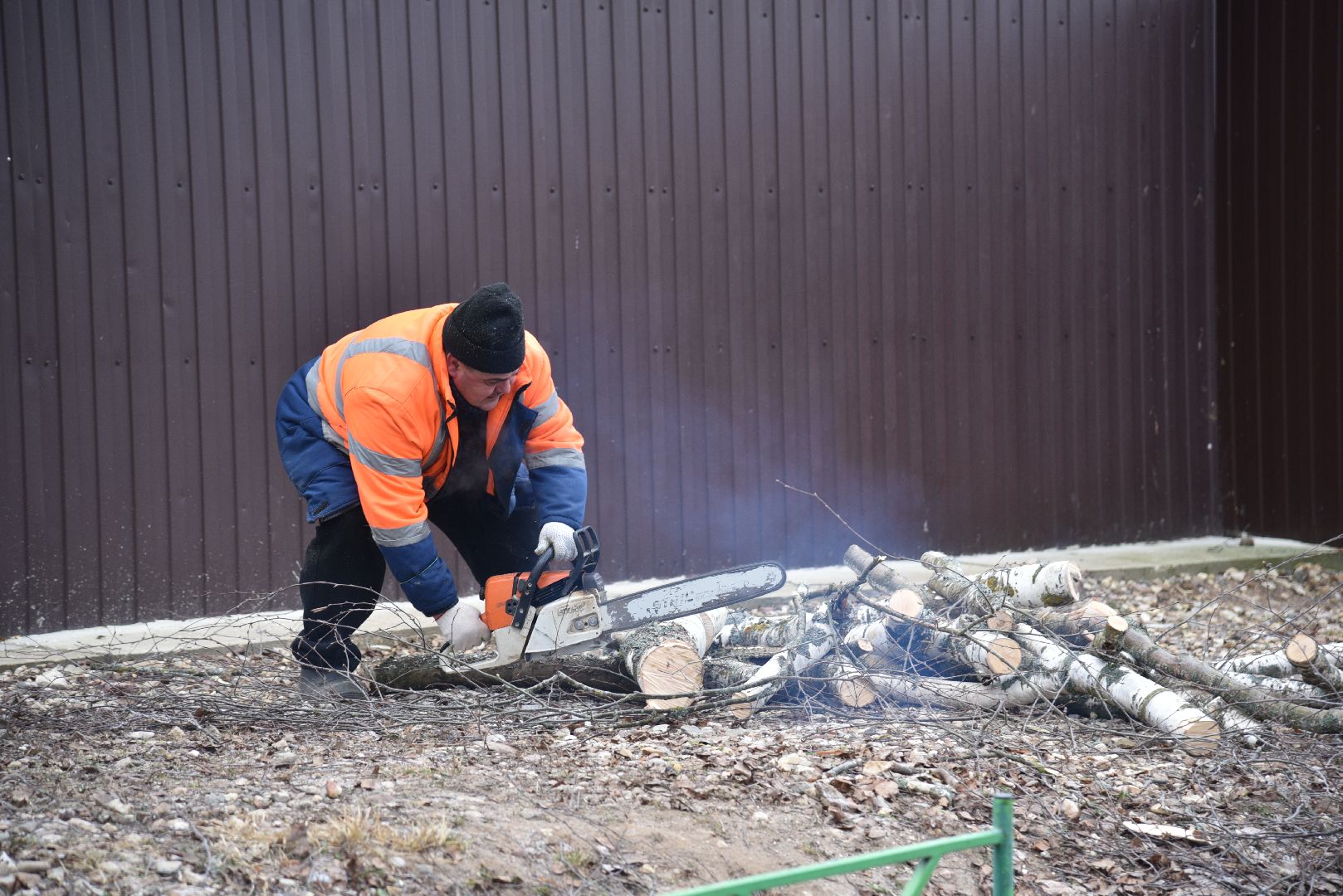 лотошино, добродел, обращение жителей, благоустройство, спил деревьев,