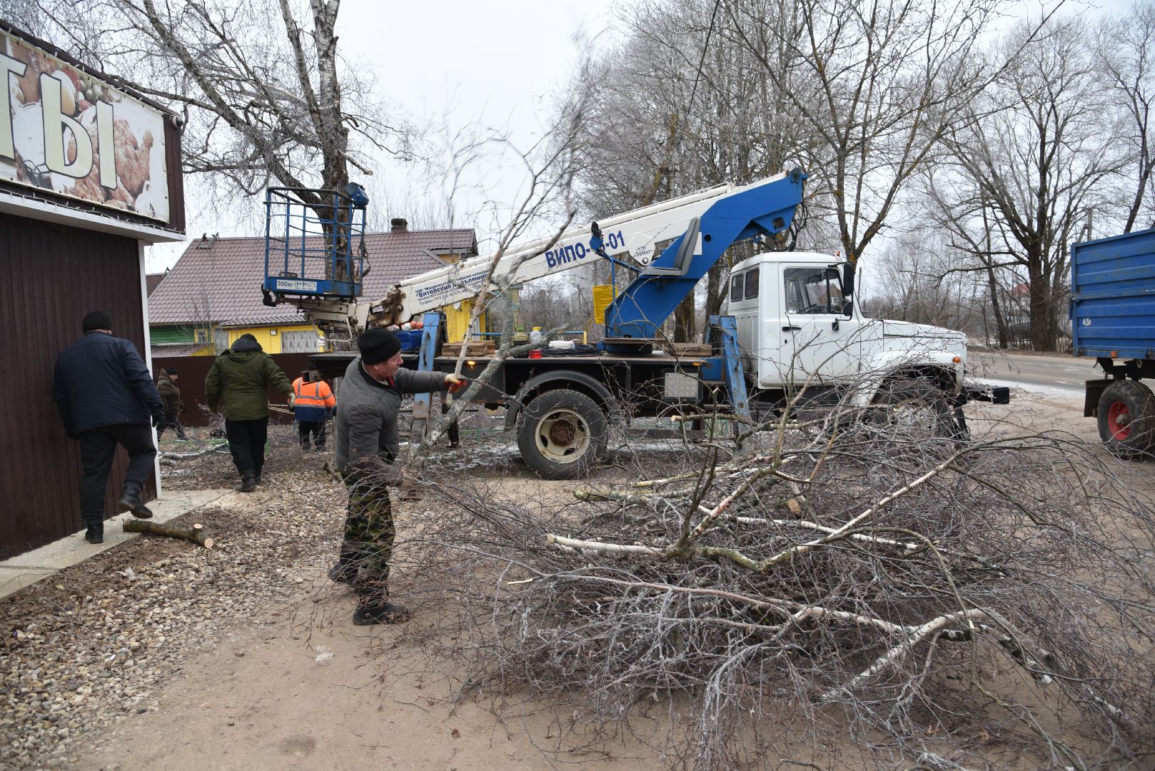 лотошино, добродел, обращение жителей, благоустройство, спил деревьев,