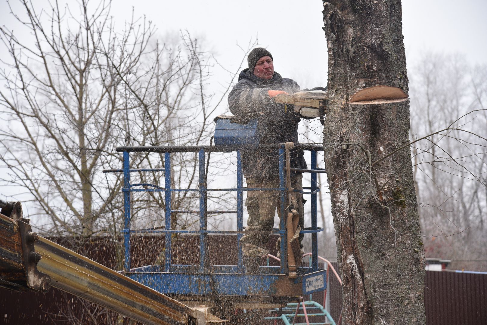 лотошино, добродел, обращение жителей, благоустройство, спил деревьев,