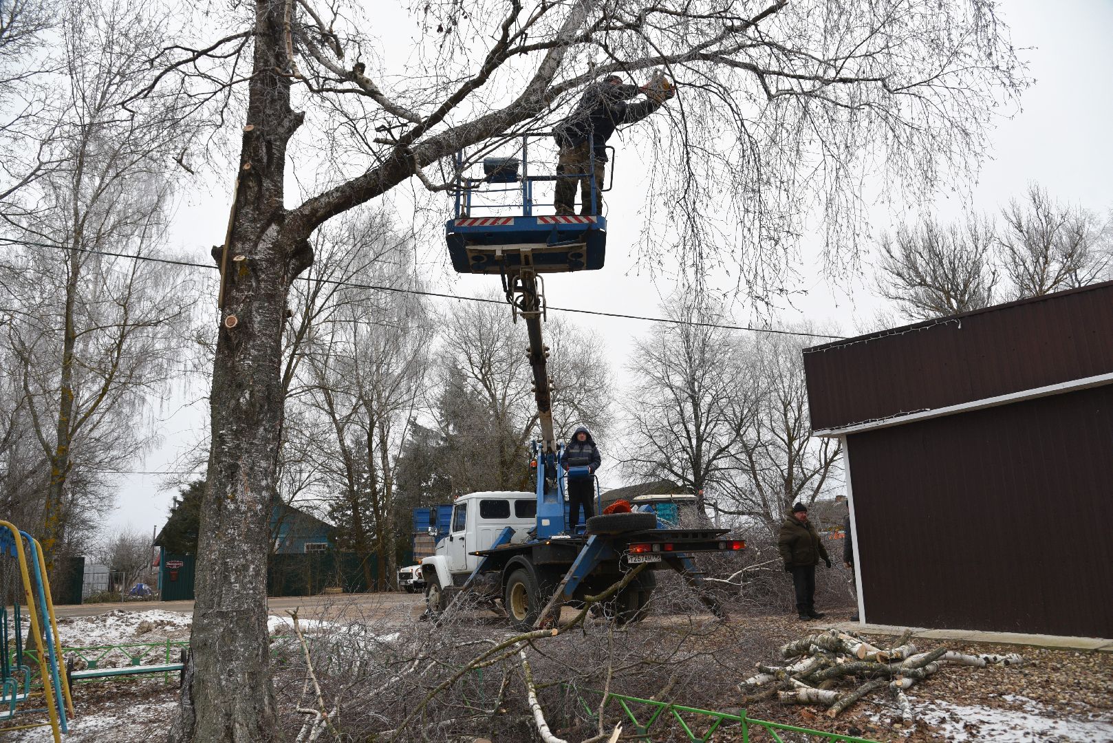 лотошино, добродел, обращение жителей, благоустройство, спил деревьев,