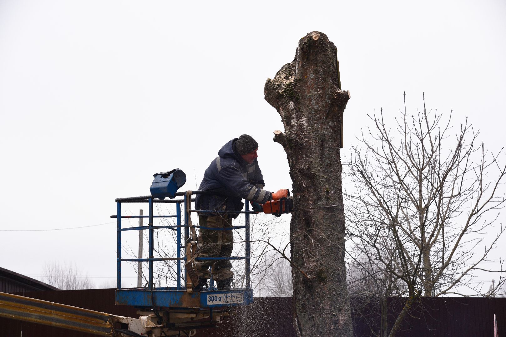 лотошино, добродел, обращение жителей, благоустройство, спил деревьев,