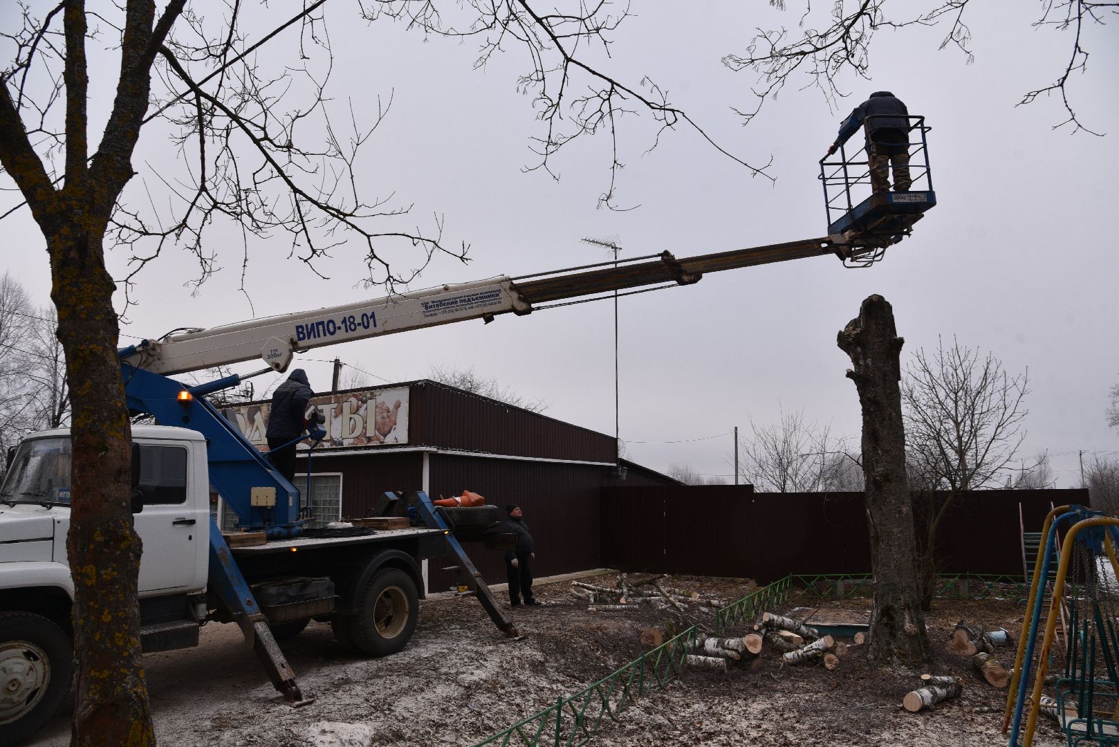 лотошино, добродел, обращение жителей, благоустройство, спил деревьев,