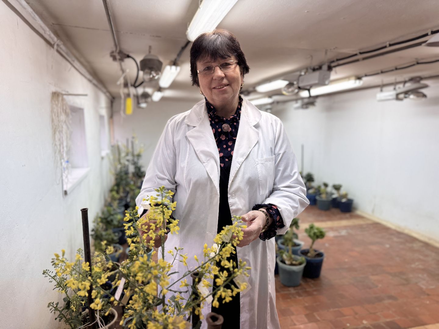 Женщины в науке, Федеральный научный центр овощеводства, Одинцово, Наука, вертикалки,