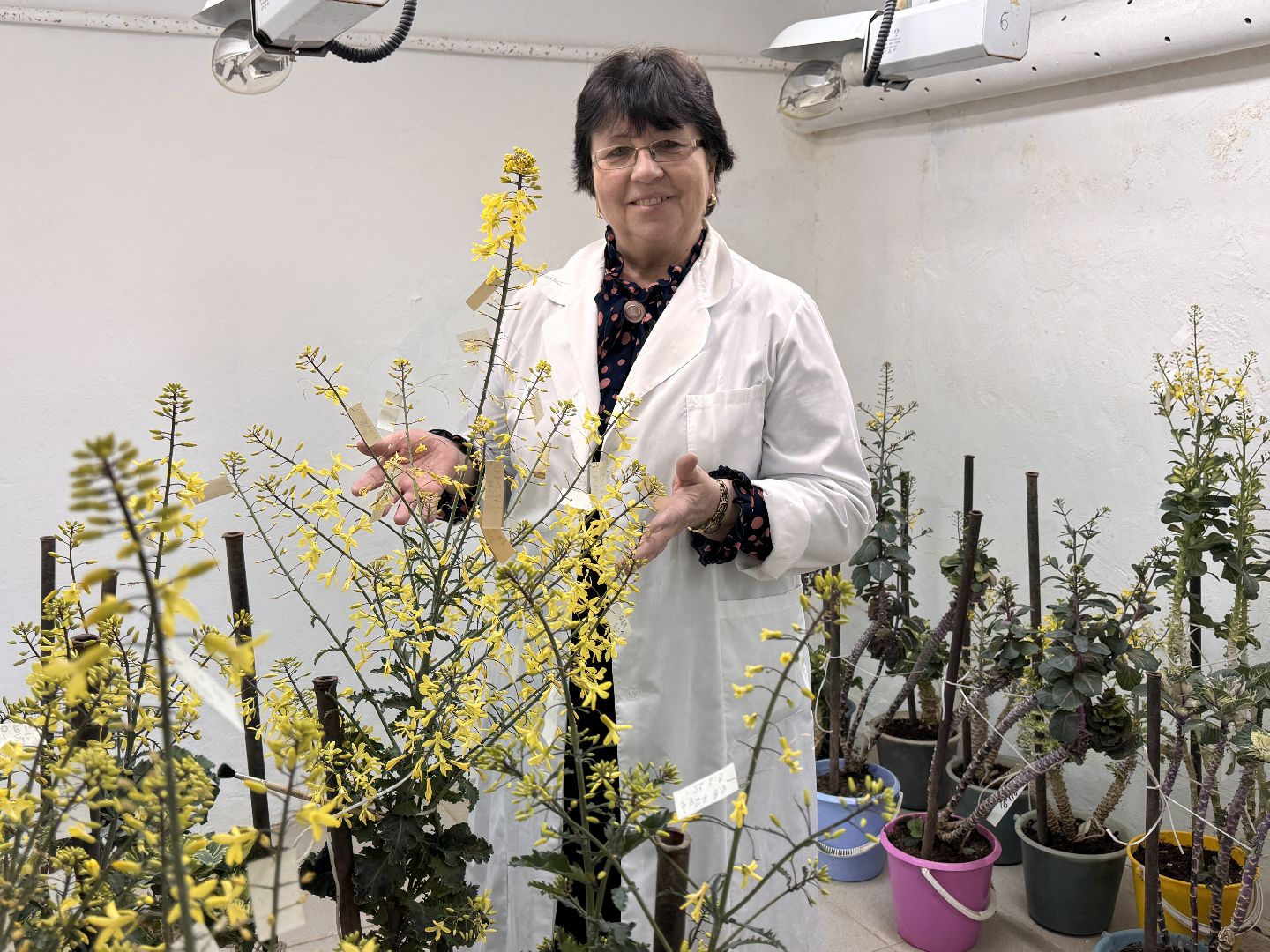 Женщины в науке, Федеральный научный центр овощеводства, Одинцово, Наука, вертикалки,