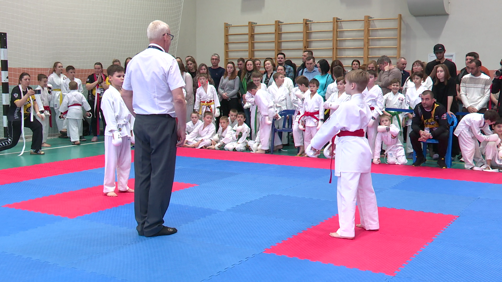 реутов, вертикалки, спорт, карате, турнир,