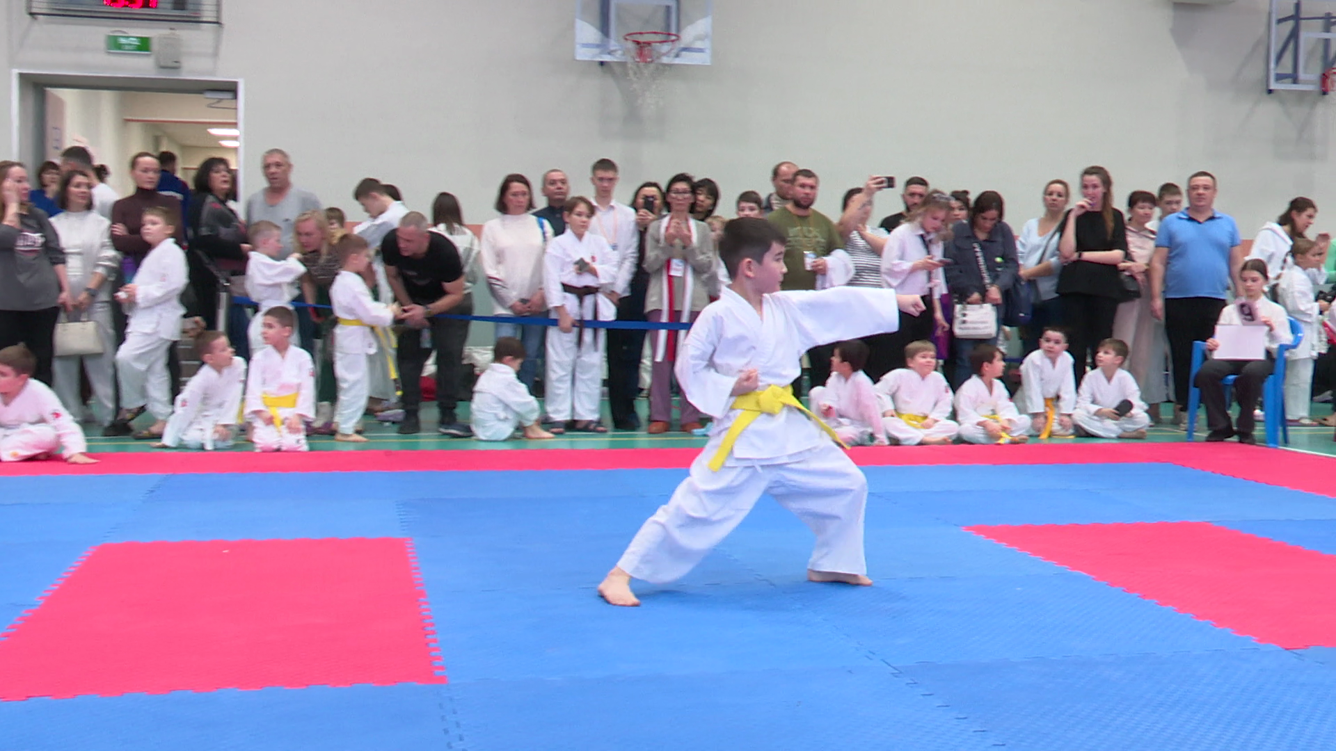 реутов, вертикалки, спорт, карате, турнир,