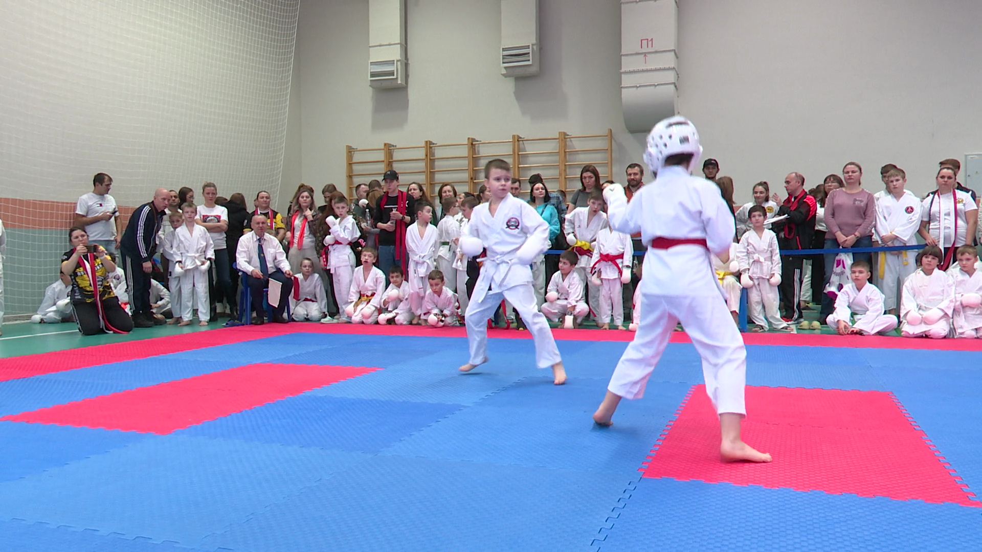 реутов, вертикалки, спорт, карате, турнир,