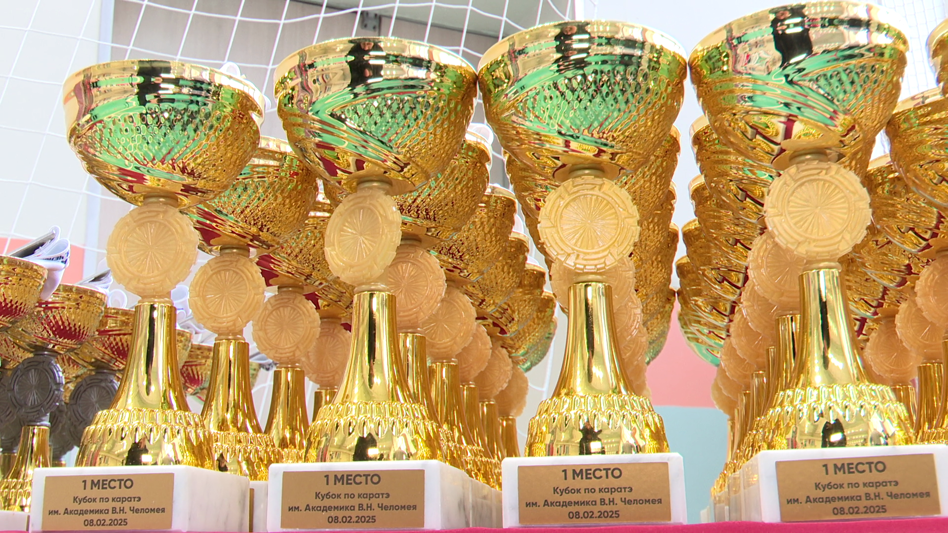 реутов, вертикалки, спорт, карате, турнир,