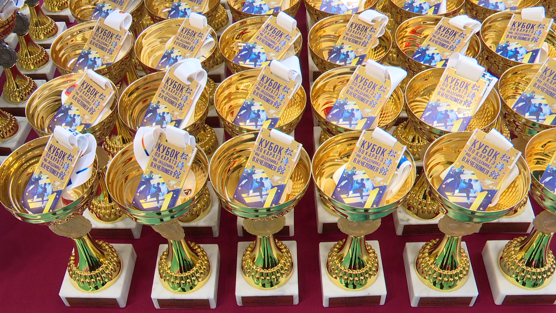 реутов, вертикалки, спорт, карате, турнир,