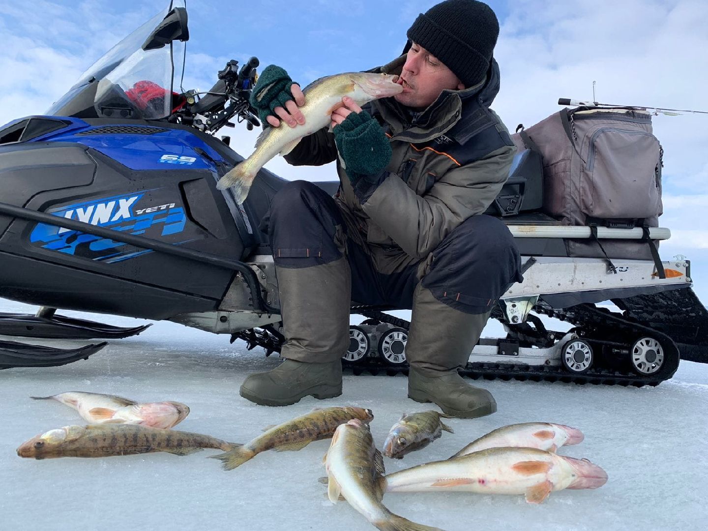 вертикалки, пушкино,люди, стоматология,мастерство,специалист,биография,профессионализм,