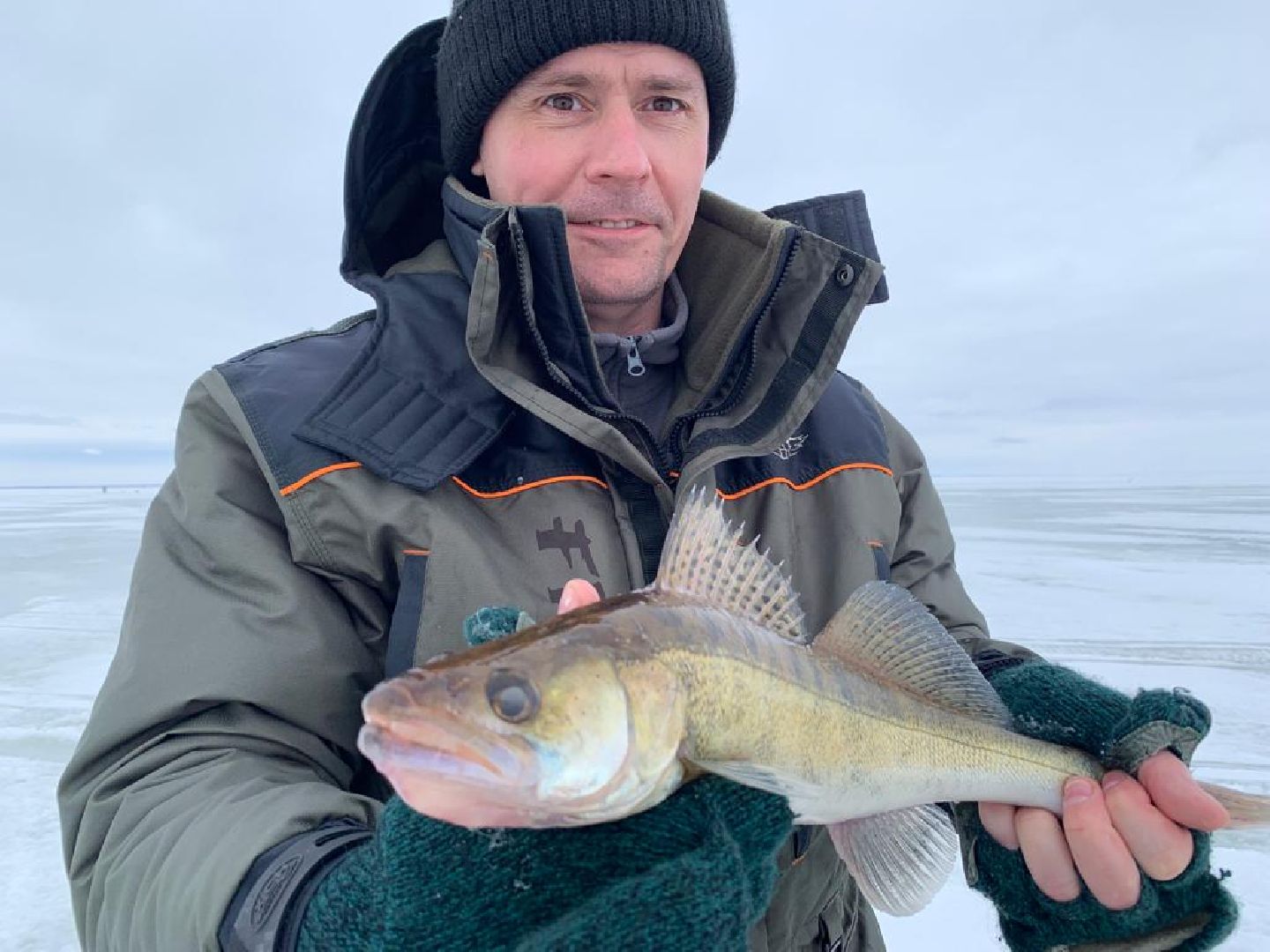 вертикалки, пушкино,люди, стоматология,мастерство,специалист,биография,профессионализм,