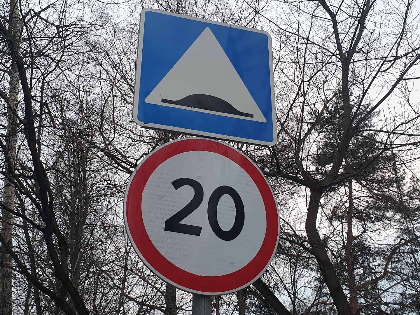 добродел, мытищи, дорожный знак, пдд,