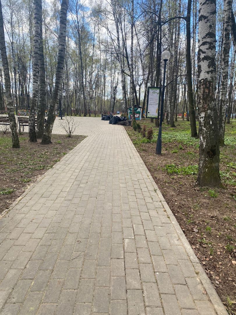 доброе дело, субботник,