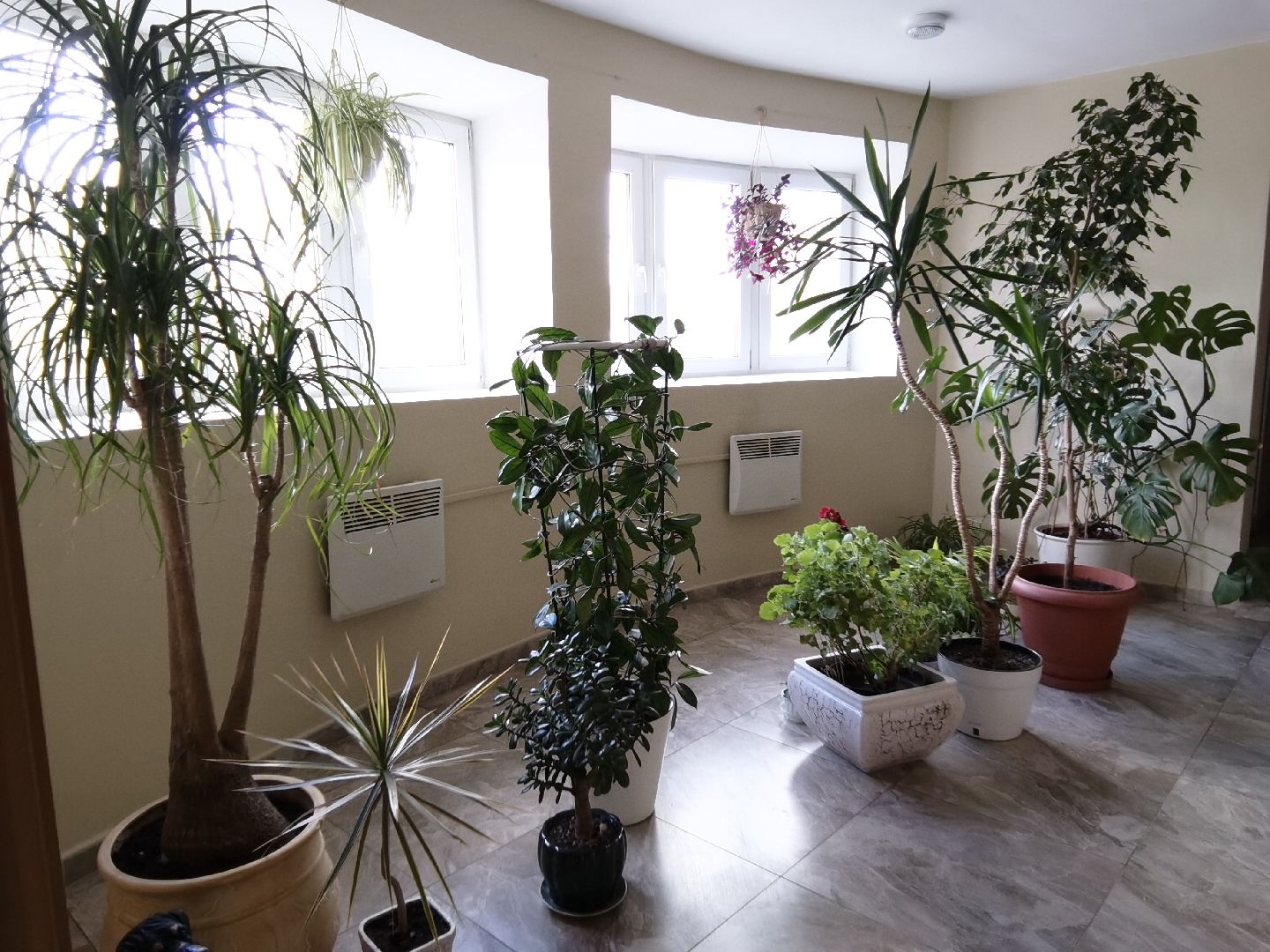 Балашиха, субботник, благоустройство, Заречная 43,44, ТСН Любимый дом, придомовая территория, уборка, содержание и эксплуатация жилых зданий