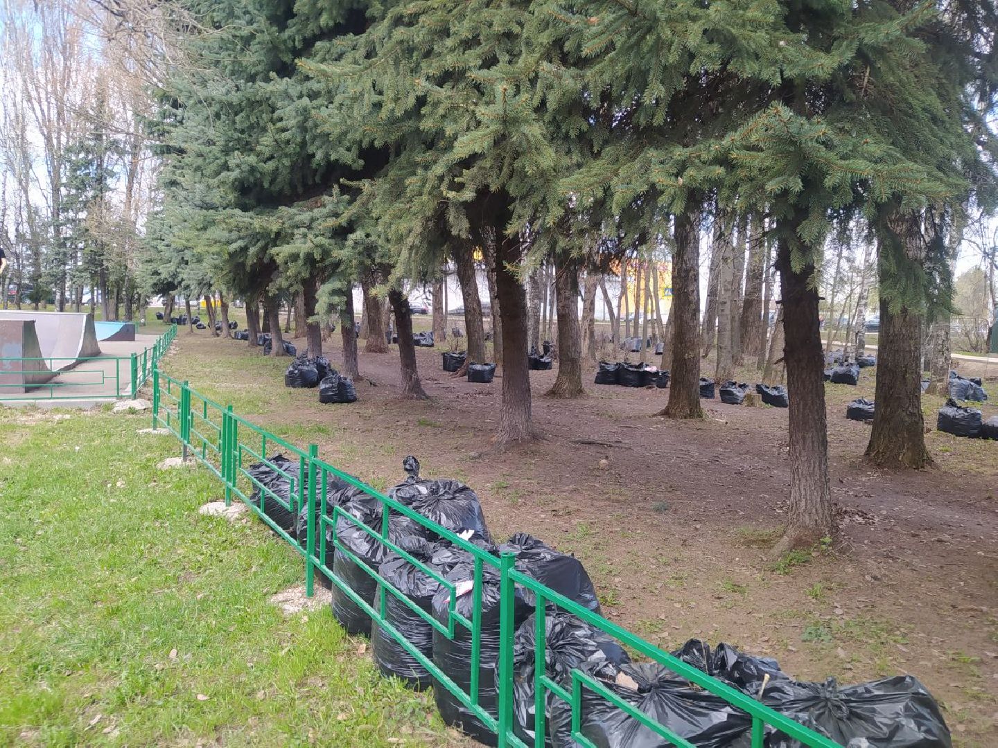 Дедовск, уборка,скейт парк, субботник,