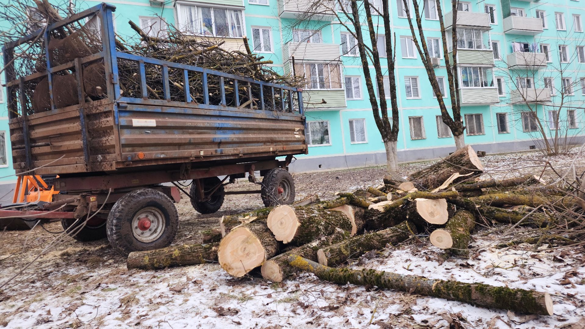 волоколамск, добродел, вырубка деревьев,