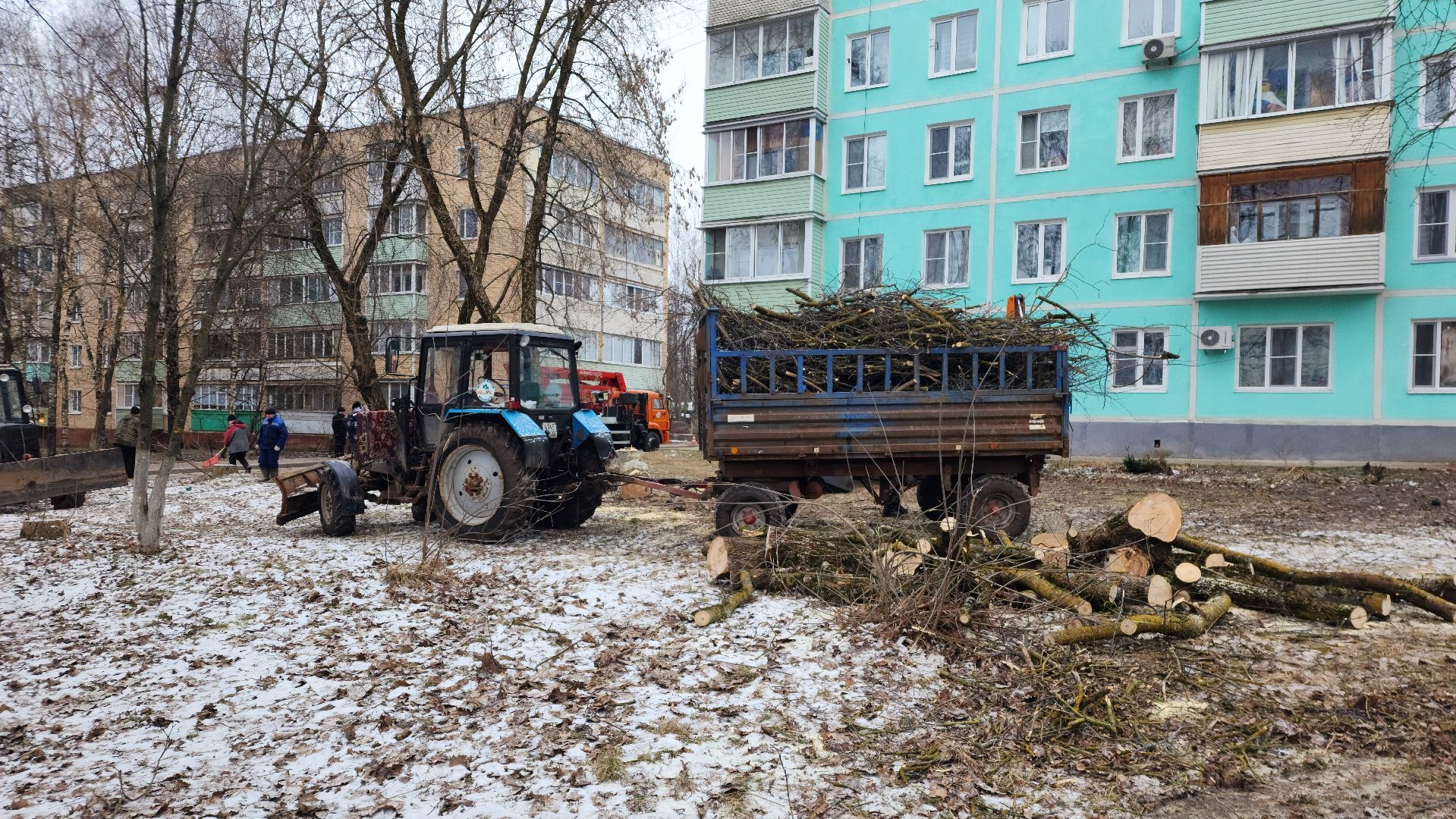 волоколамск, добродел, вырубка деревьев,