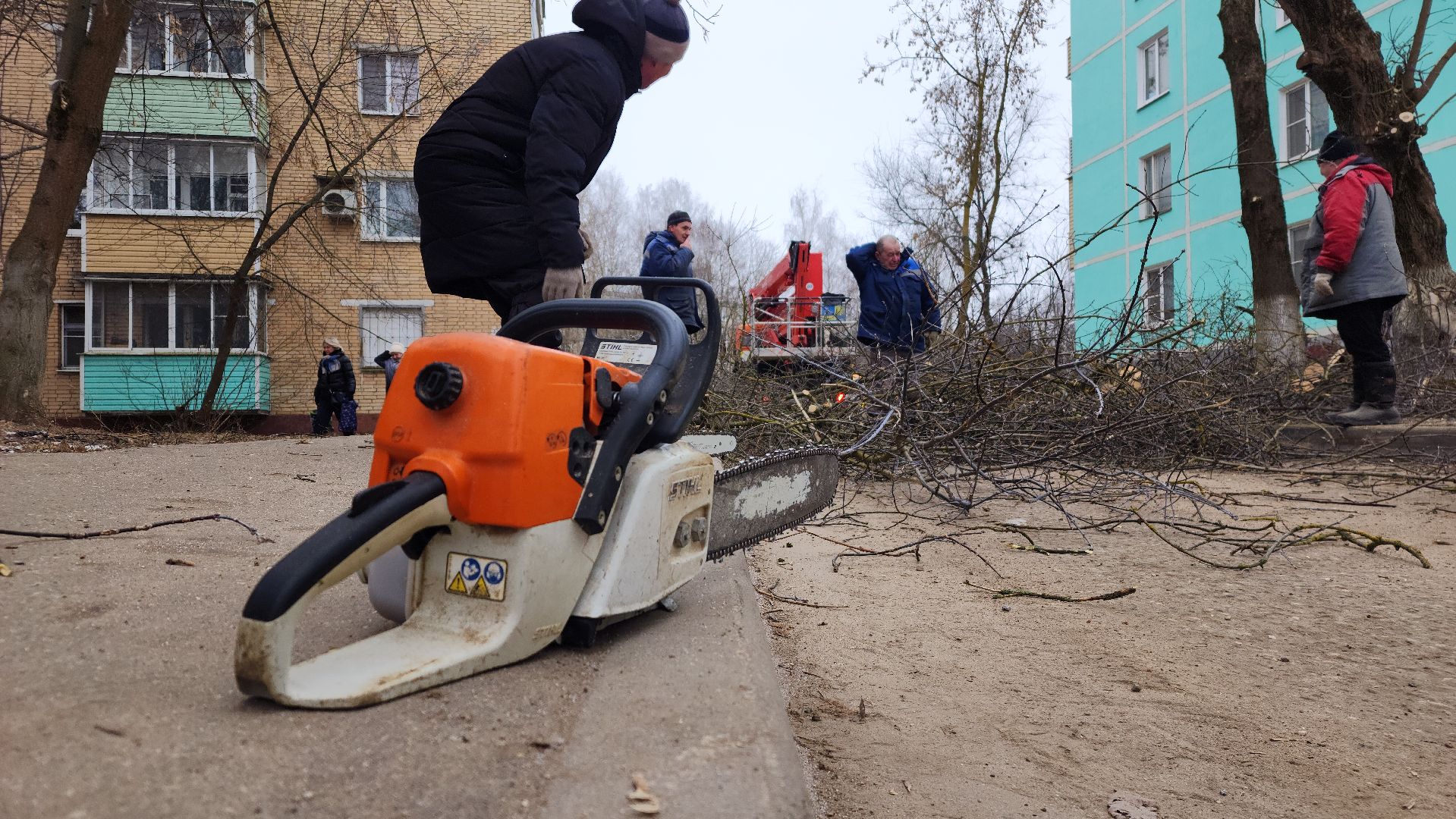 волоколамск, добродел, вырубка деревьев,