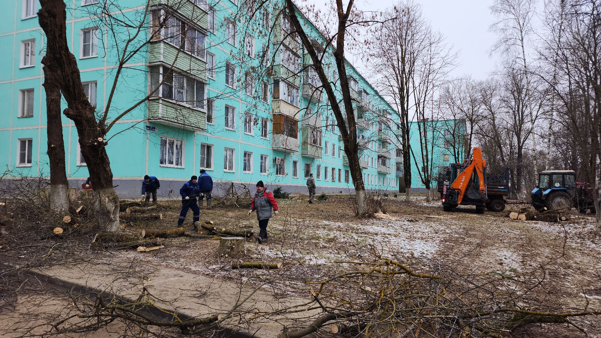 волоколамск, добродел, вырубка деревьев,