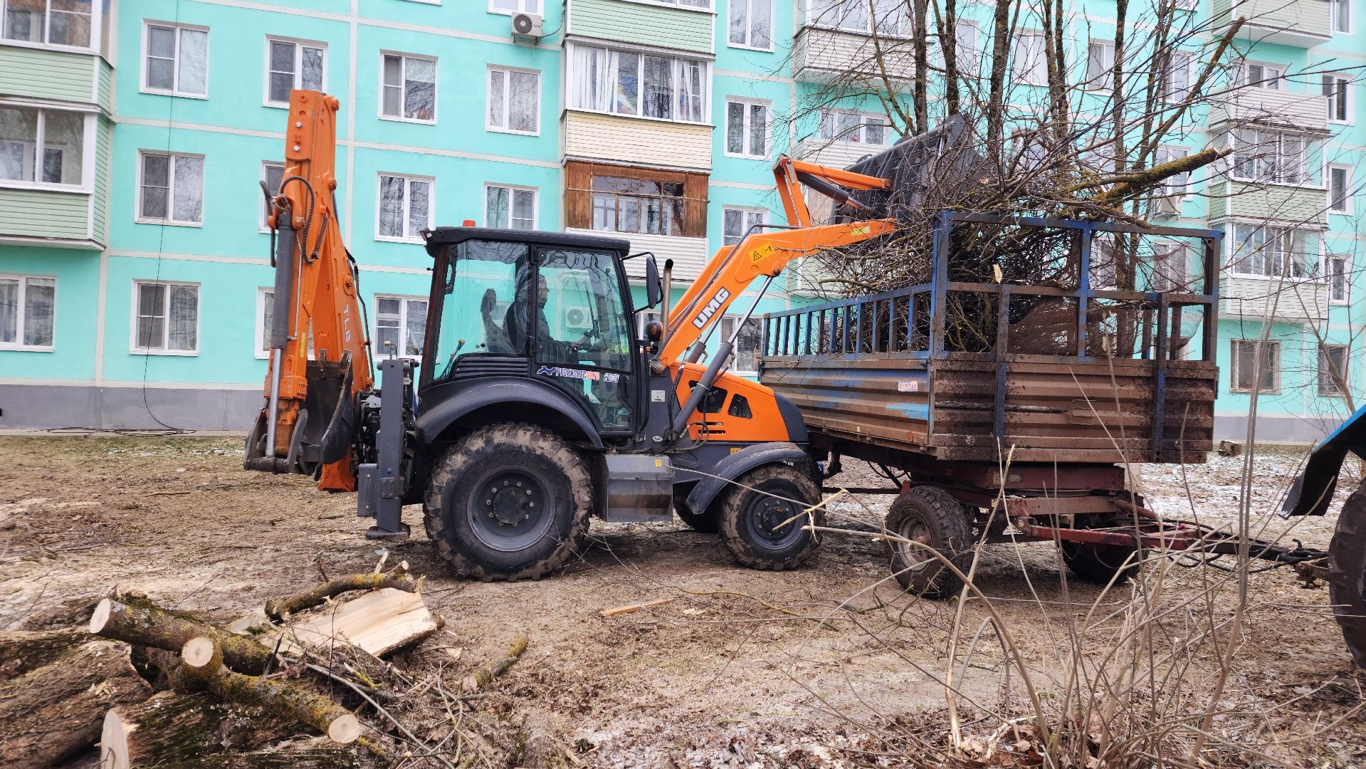 волоколамск, добродел, вырубка деревьев,