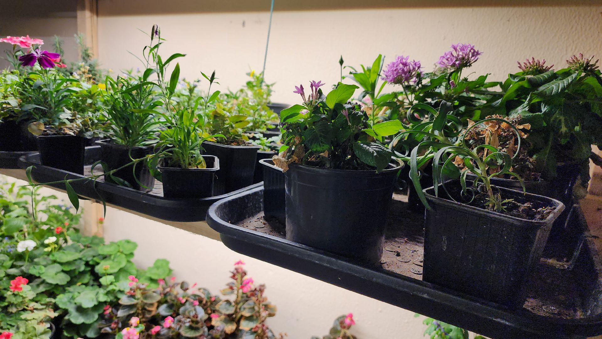 истра, фермер, экономика, поддержка бизнеса, вертикалки,