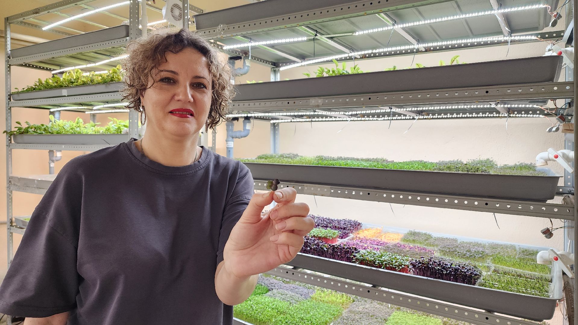 истра, фермер, экономика, поддержка бизнеса, вертикалки,