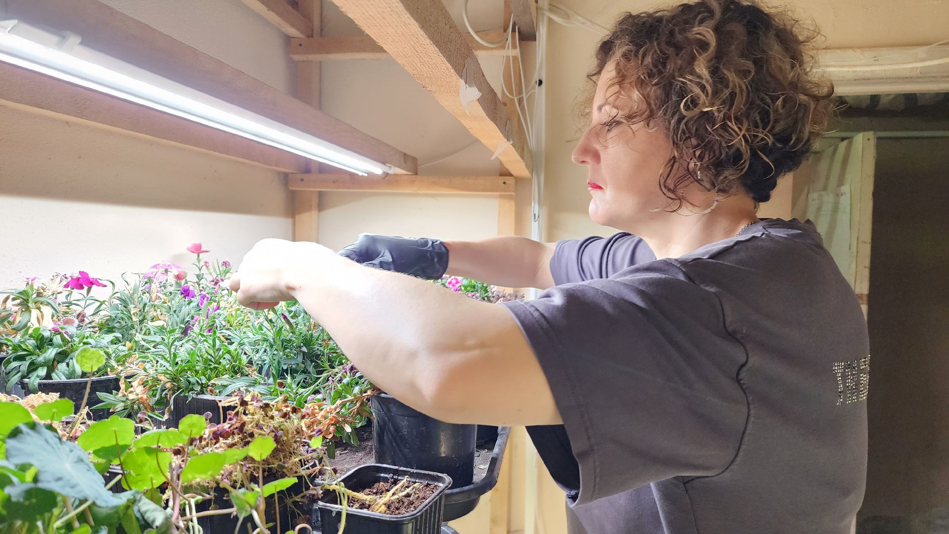 истра, фермер, экономика, поддержка бизнеса, вертикалки,