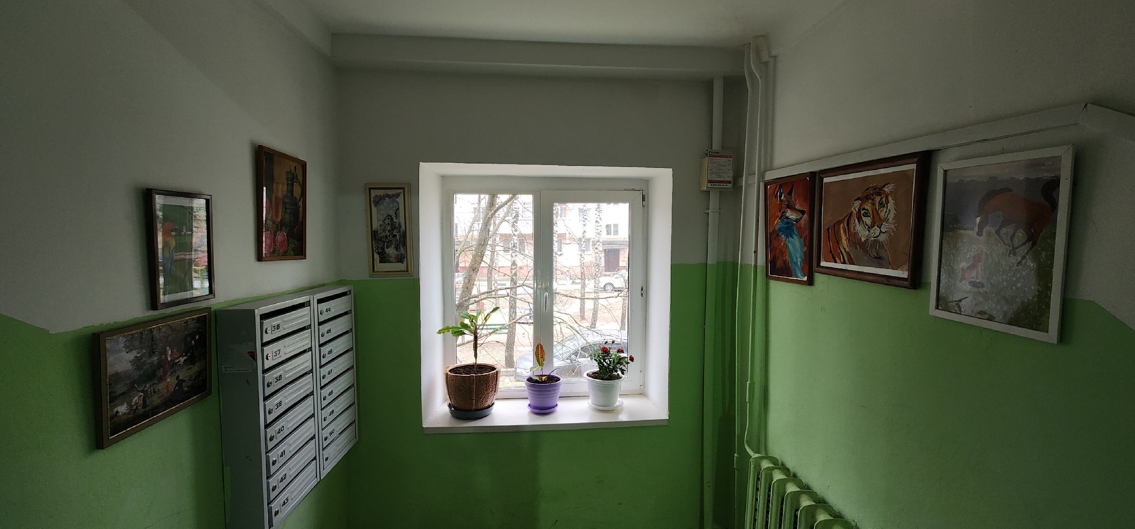 вертикалки, благоустройсво, люди звенигорода,Общественники Подмосковья,