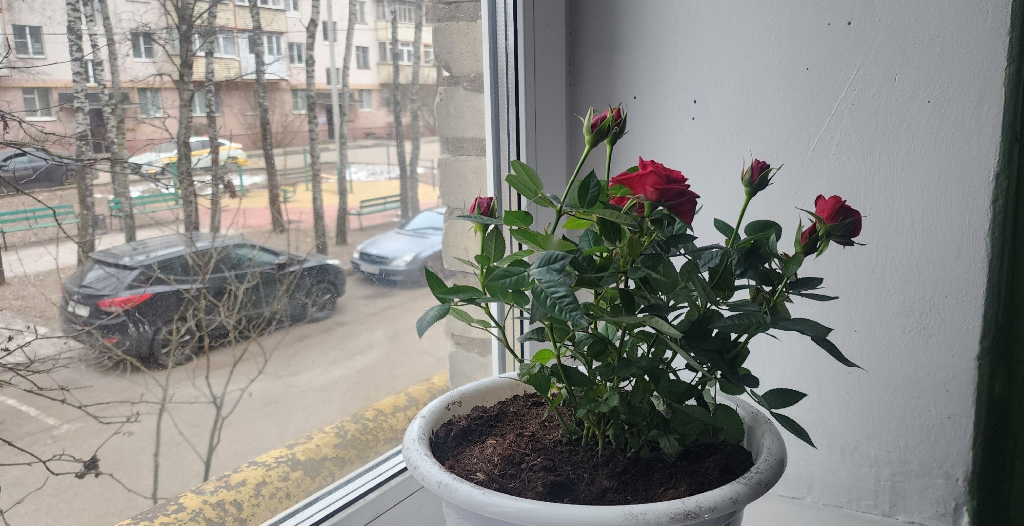 вертикалки, благоустройсво, люди звенигорода,Общественники Подмосковья,