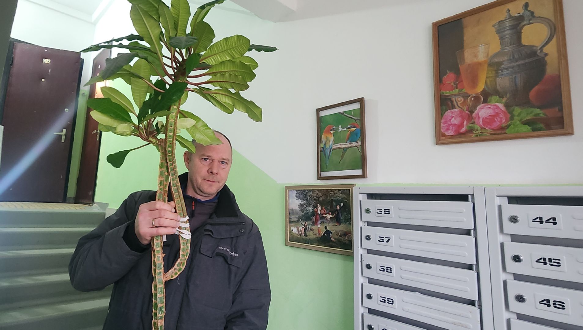 вертикалки, благоустройсво, люди звенигорода,Общественники Подмосковья,