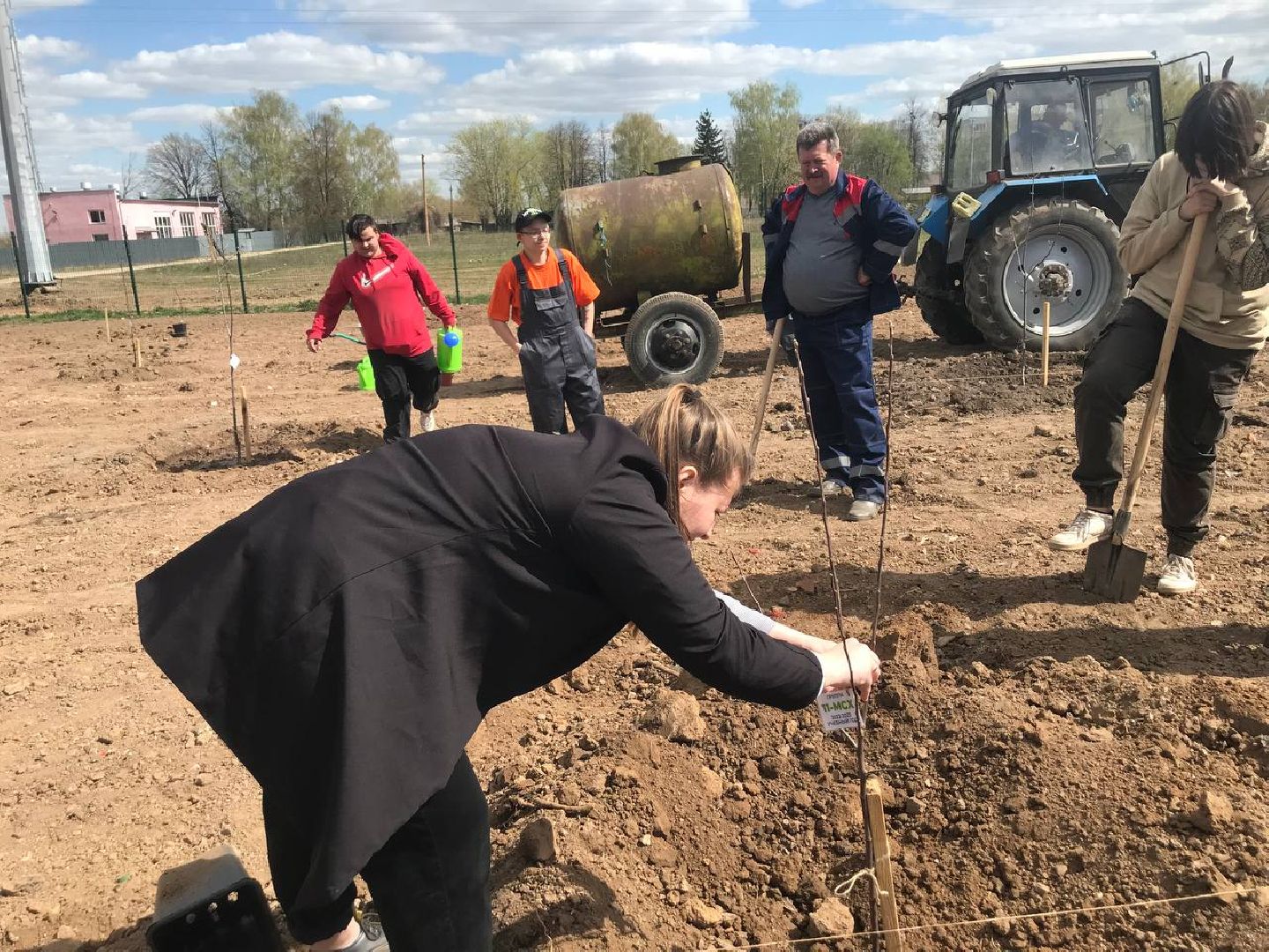 яблони, образование