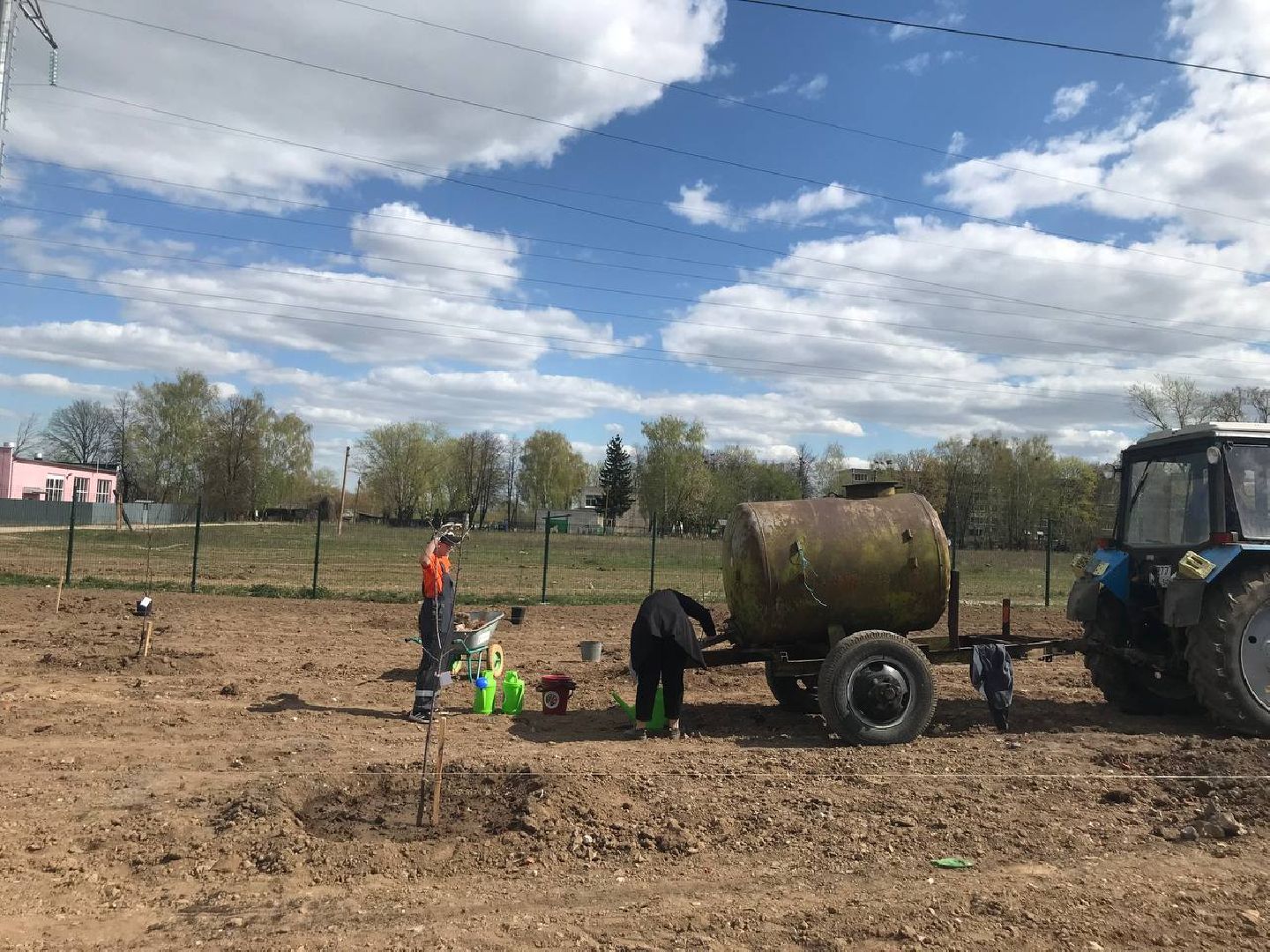 яблони, образование