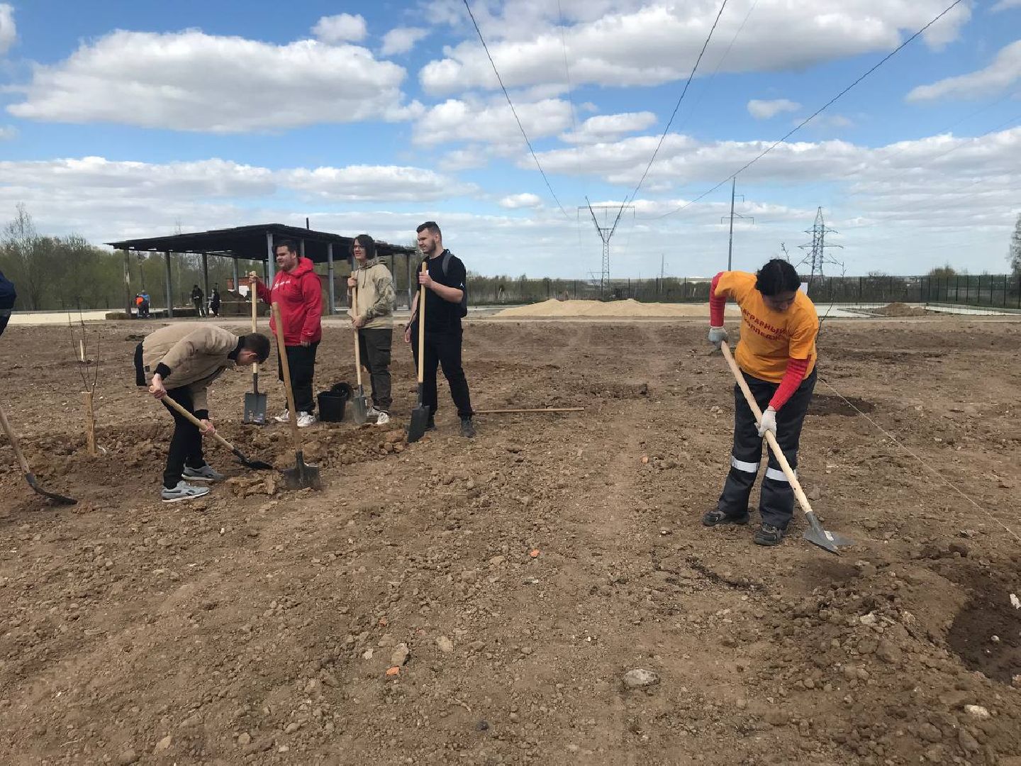 яблони, образование