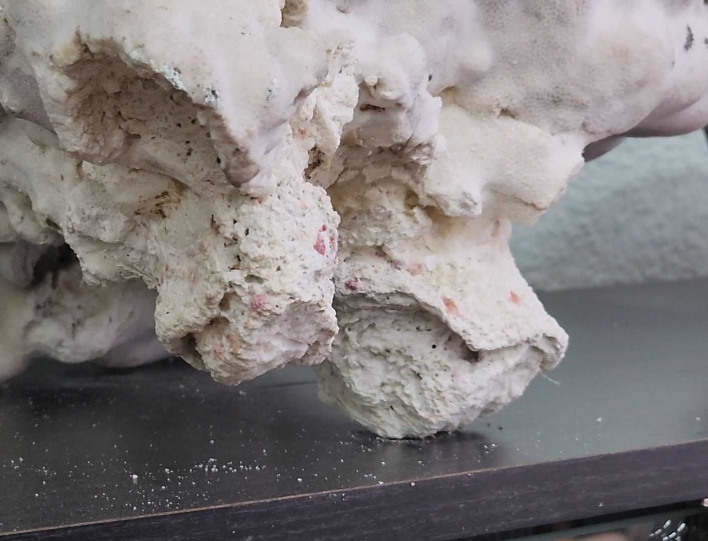 Дубна, Университет дубна, Наука, Женщины в науке, вертикалки,