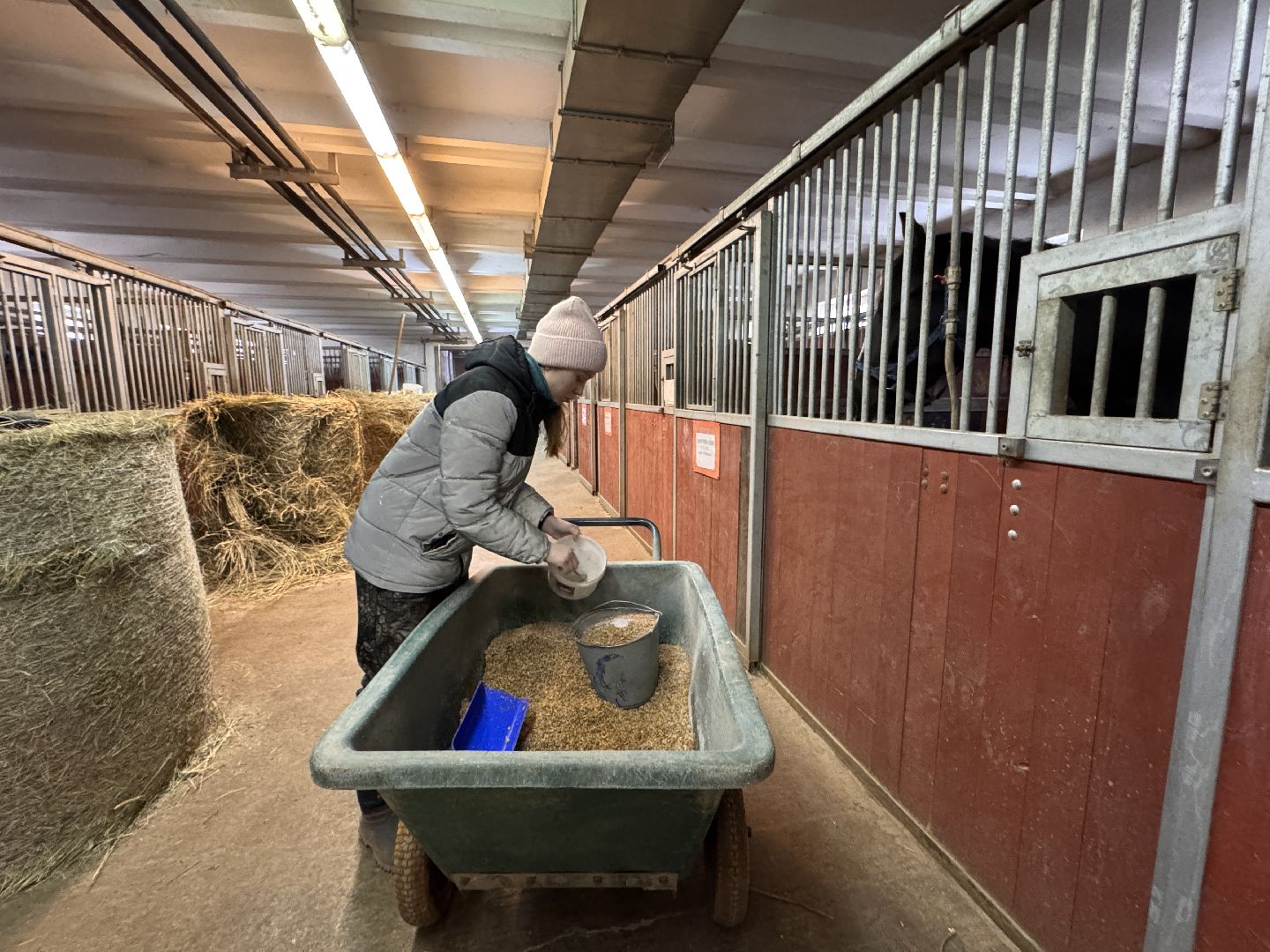 вертикалки, мкз 1, Московский конный завод 1, Одинцовский округ, Первые в стране,