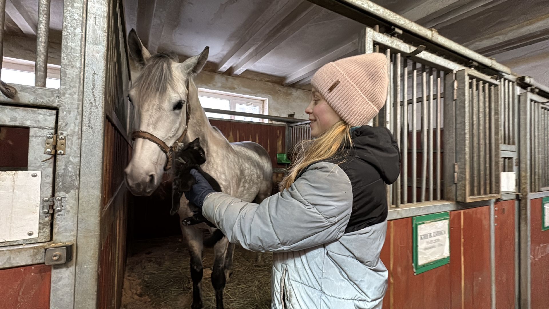 вертикалки, мкз 1, Московский конный завод 1, Одинцовский округ, Первые в стране,